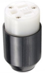 NEMA 5-15 Female Connector